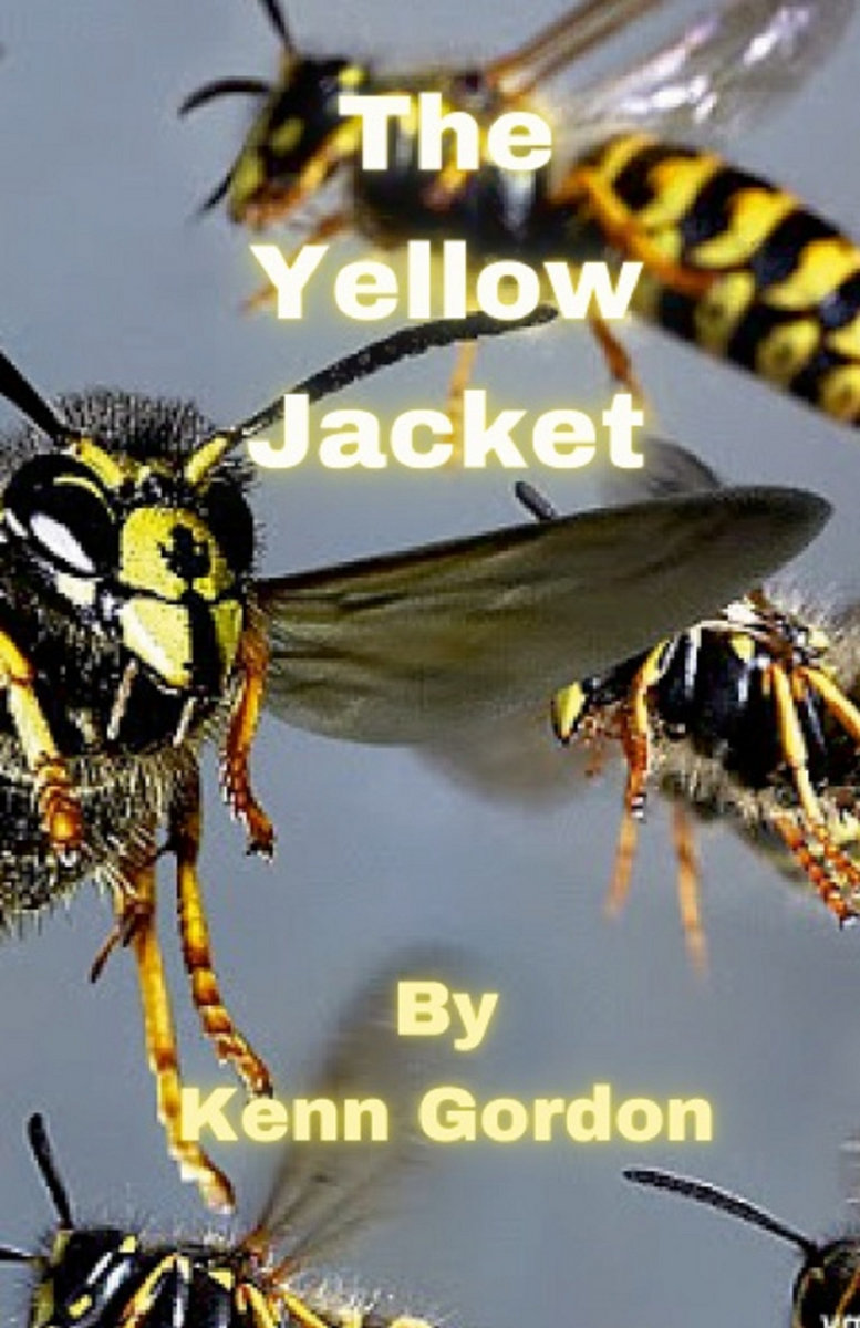 The Yellow Jacket by Kenn Gordon